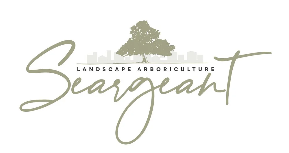 Seargeant Landscape & Arboriculture