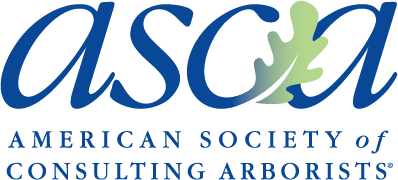 ascalogo2022 registered
