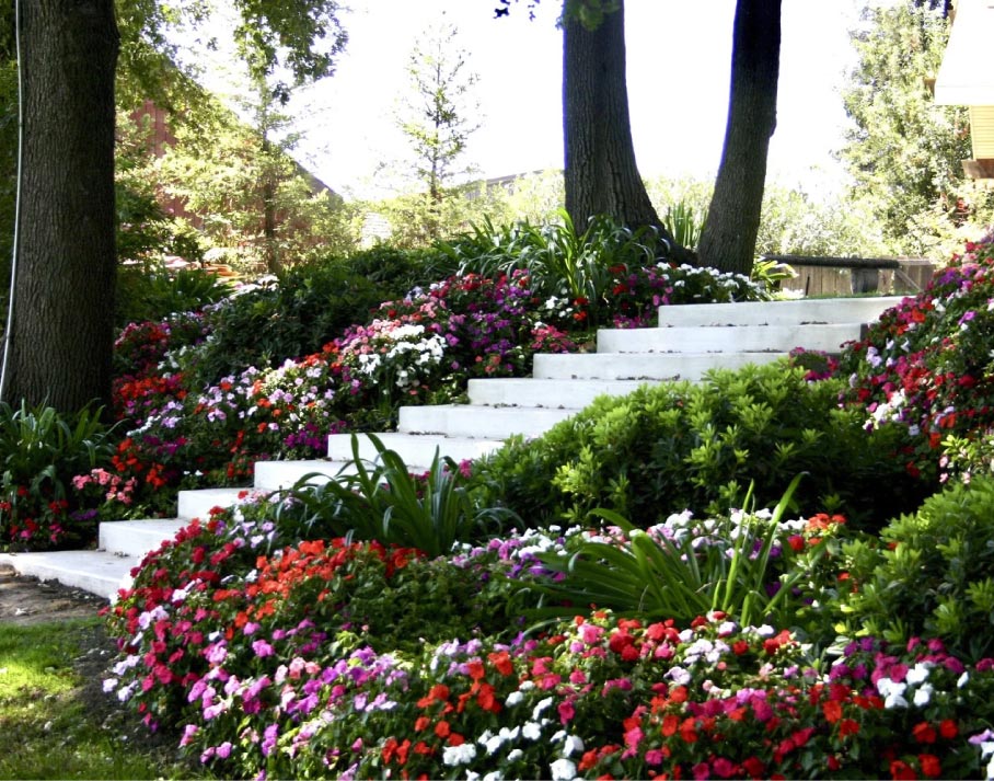 About Scott Seargeant 24 Flowers Landscaping
