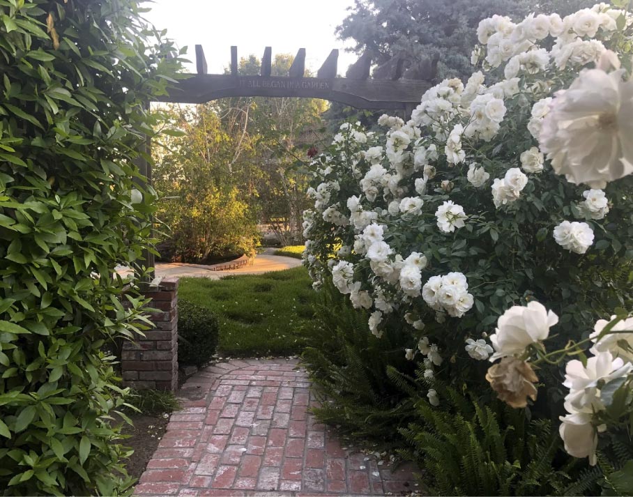 About Scott Seargeant 20 Flowers