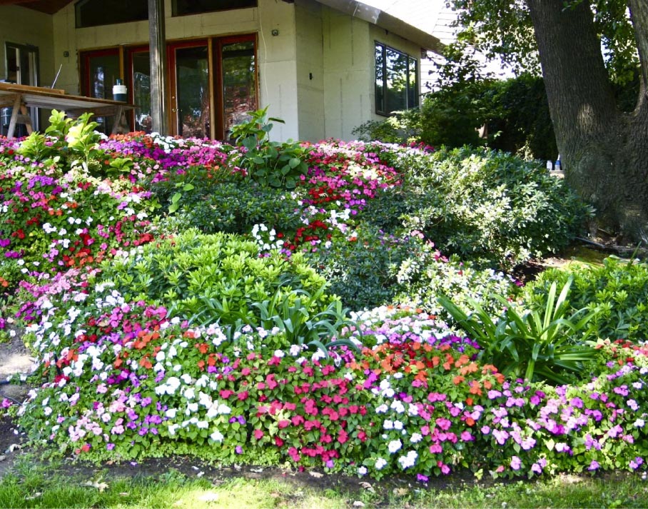 About Scott Seargeant 22 Garden
