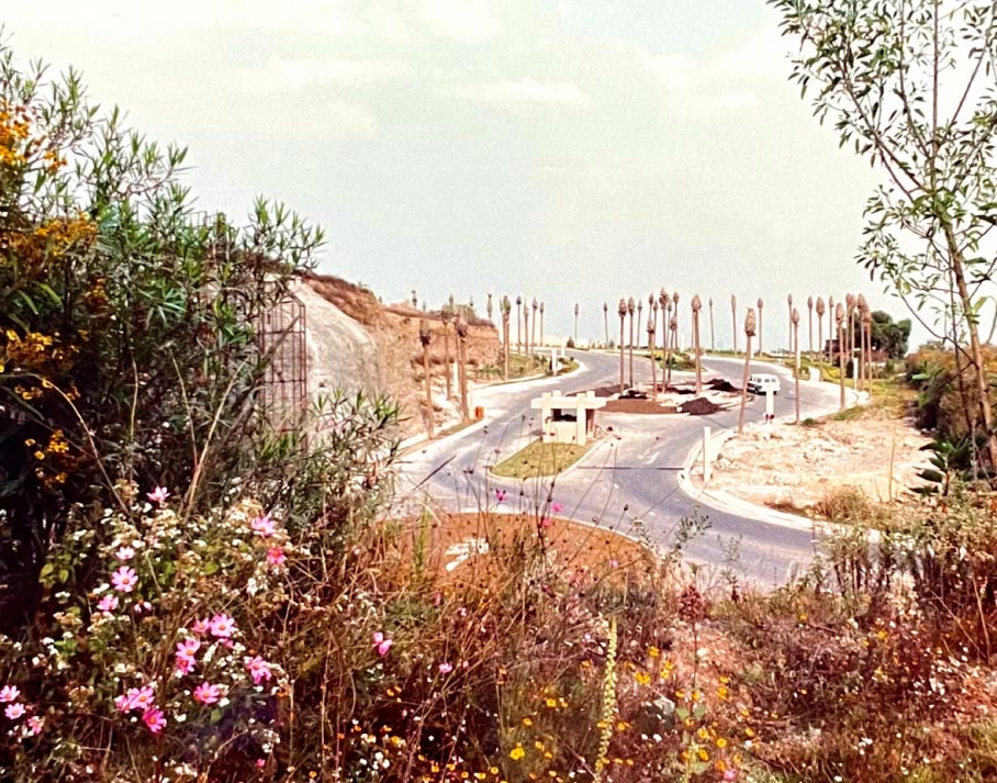 About Scott Seargeant 19 Landscape Work