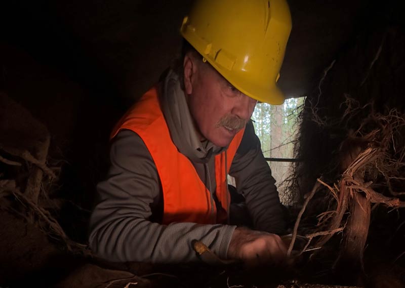 About Scott Seargeant 23 certified arborist