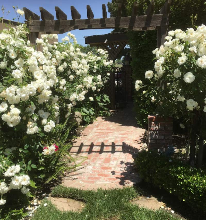 beautiful landscape design