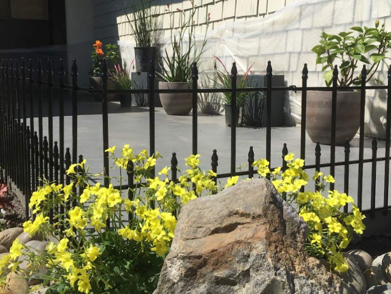 Case Study: The 104-Tree Perimeter Screen.