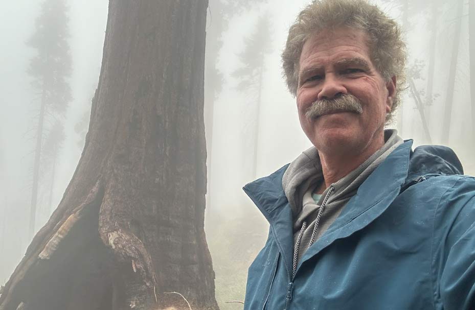 scott seargeant and a tree