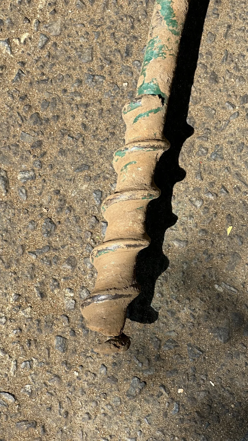 A full view of a medium-sized green leafy tree growing at a slight angle over a sidewalk, supported by a single thin stake in front of a wooden fence.