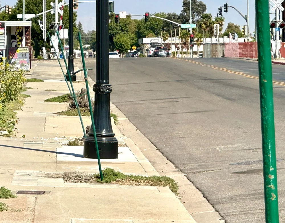 A leaning tree trunk braced by a bent green metal stake on a sidewalk, with a black Nissan crossover SUV and a Hercules Tires shop in the background.