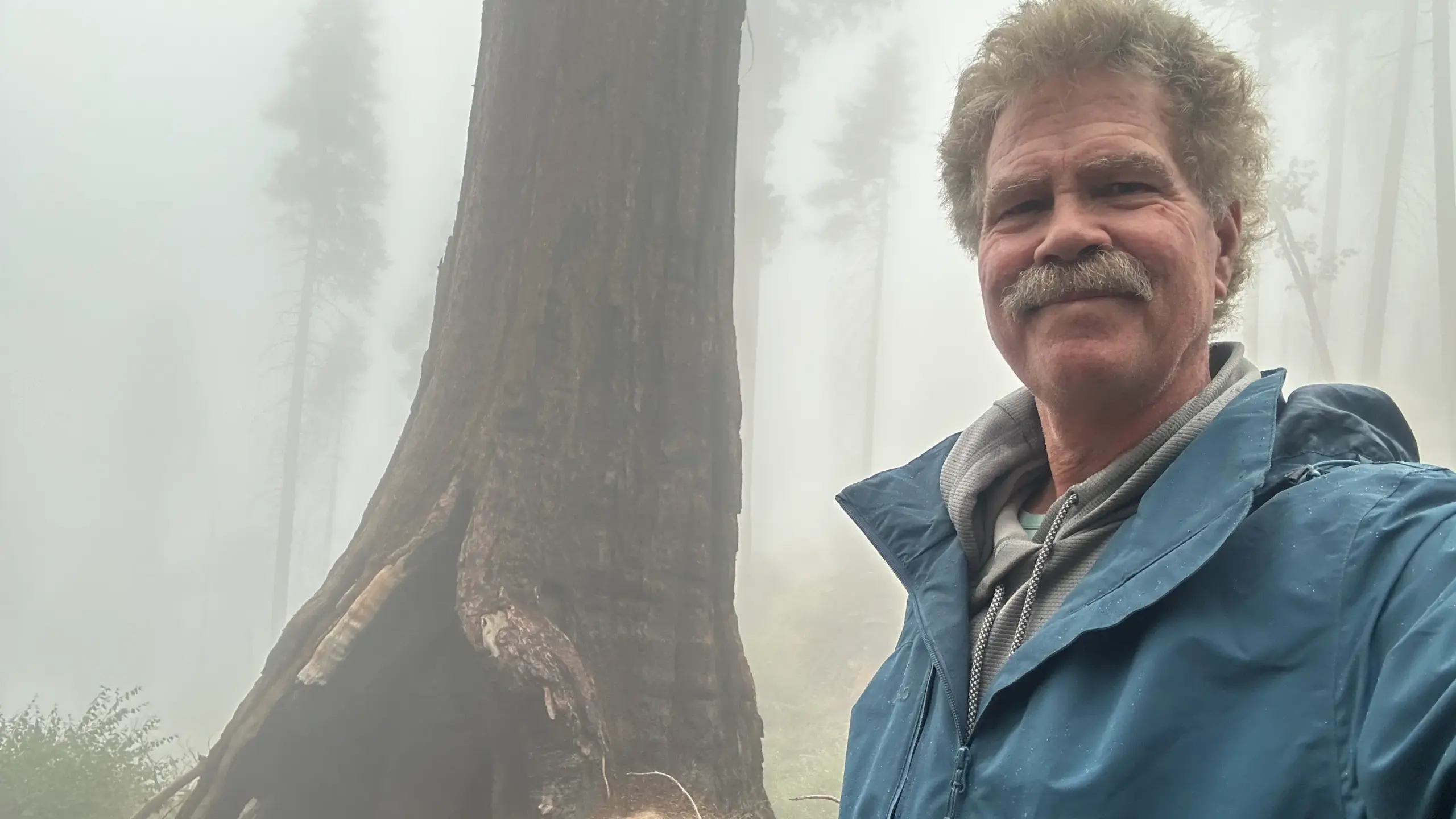 Scott Seargeant standing beside a fire-scarred Giant Sequoia trunk in the mist at Mineral King, California