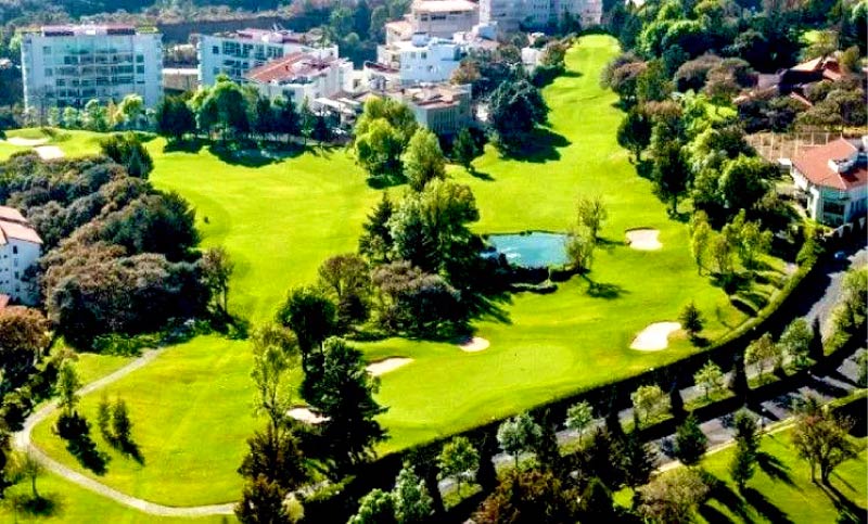 Aerial view of the revitalized tree canopy at the Mexico City golf and country club following Scott Seargeant's revised tree consulting strategy