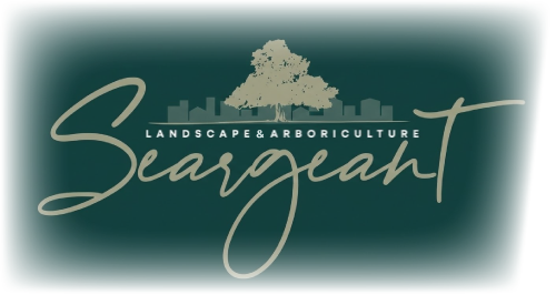 scott seargeant arboriculture and landscape